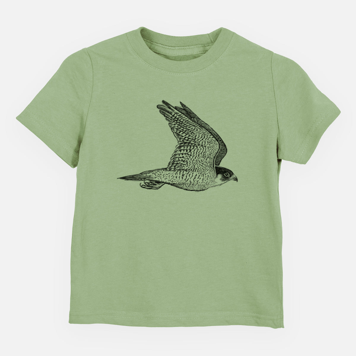 Sage green toddler t-shirt laid flat, printed with a detailed black ink illustration of a peregrine falcon in flight.