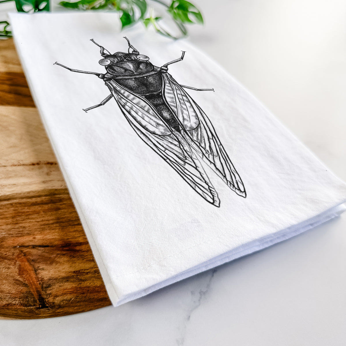 Close-up of a folded white tea towel on a wooden board, showing a detailed black ink illustration of a periodical cicada with its wings folded, seen from above.
