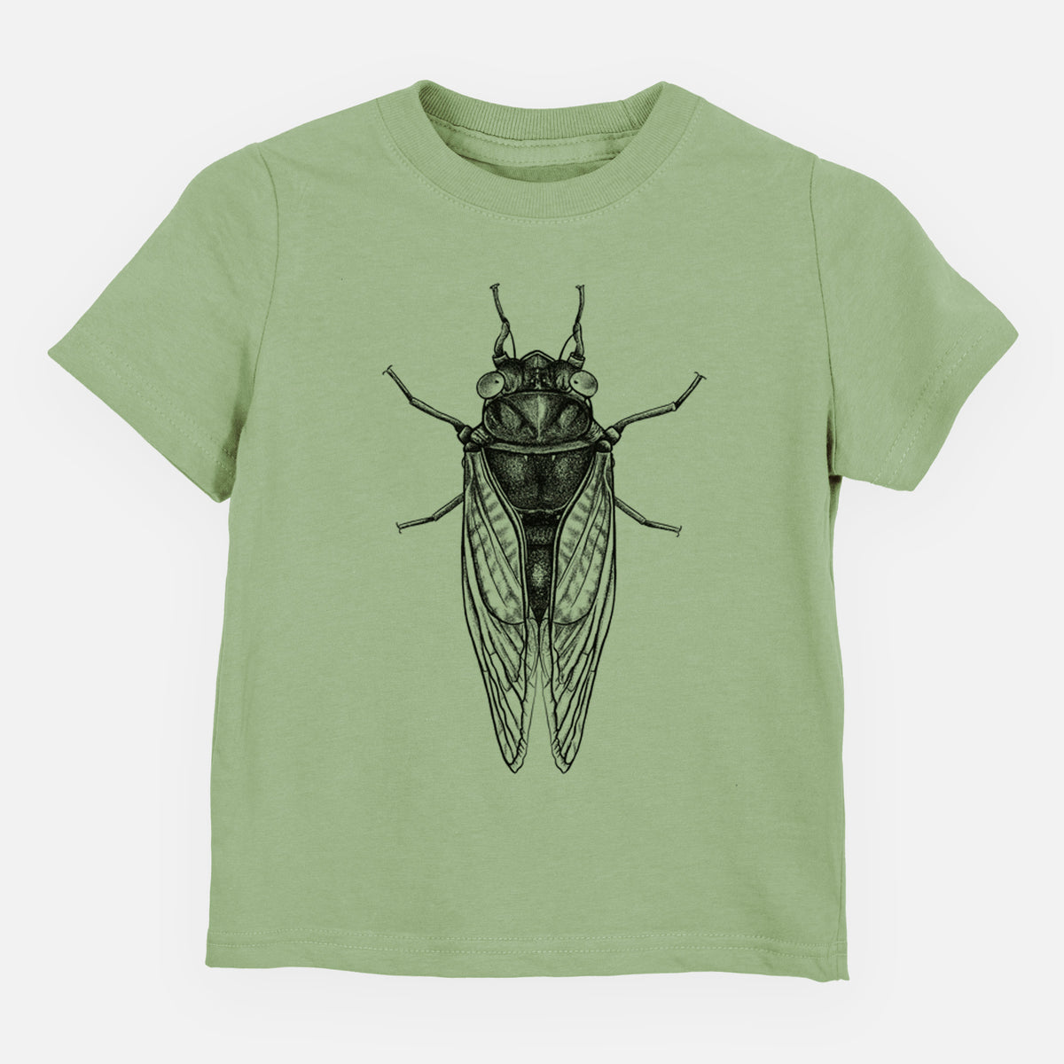 Sage green toddler t-shirt laid flat, printed with a detailed black ink illustration of a periodical cicada with its wings folded, seen from above.