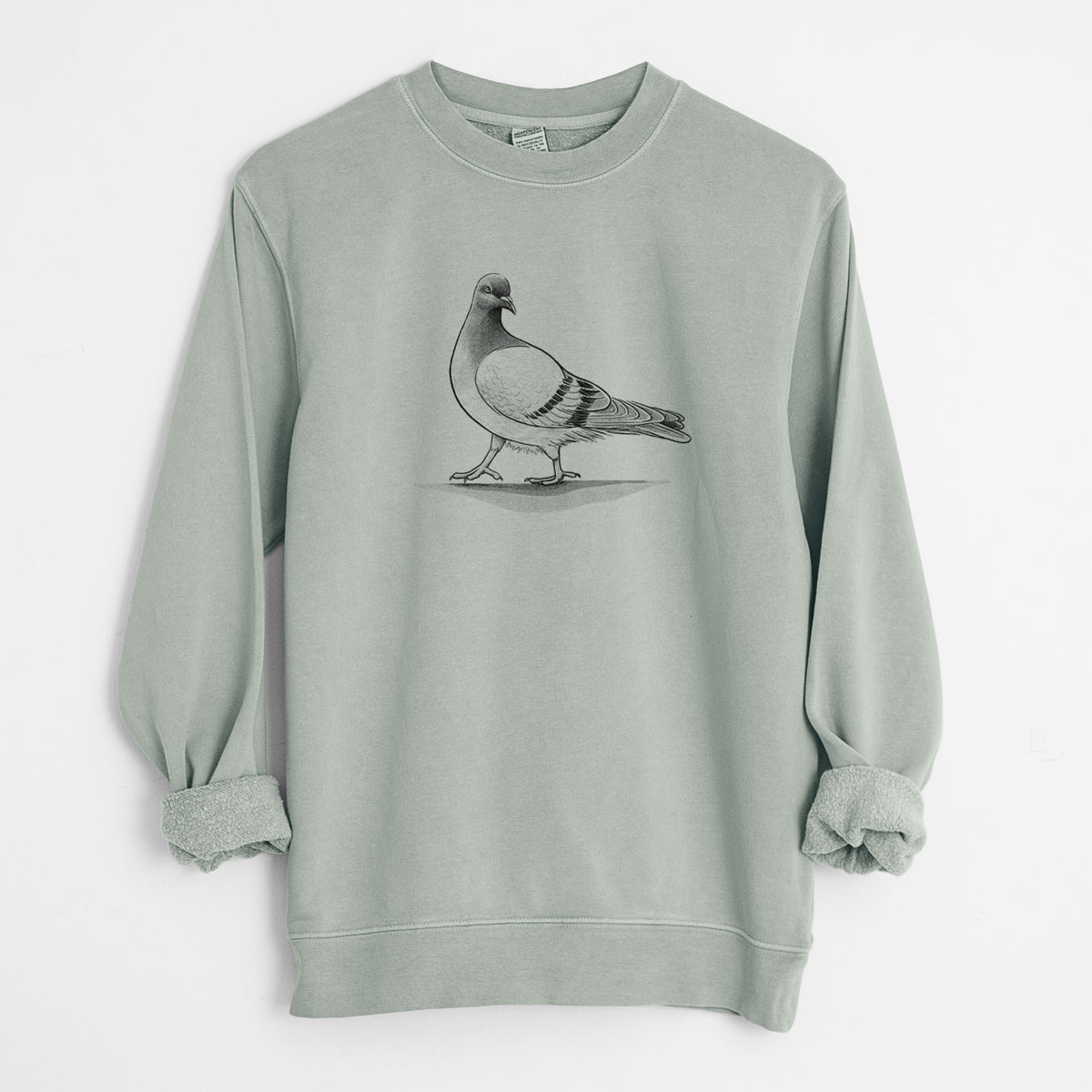 Pigeon / City Dove - Columba livia domestica - Unisex Pigment Dyed Crew Sweatshirt in Sage