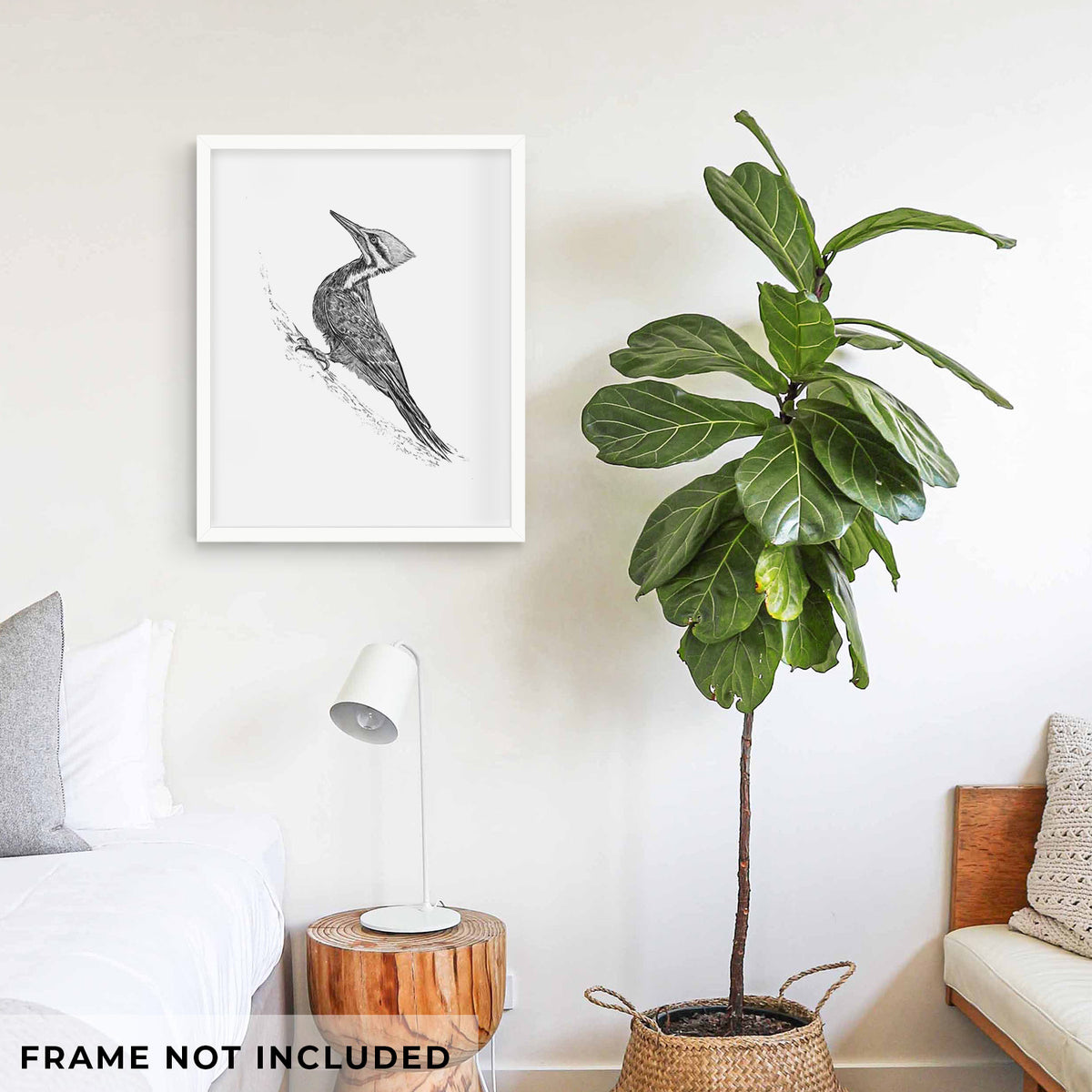 Art print of a black ink illustration of a pileated woodpecker clinging to a tree trunk, shown framed on a living room wall beside a potted plant. Frame not included.