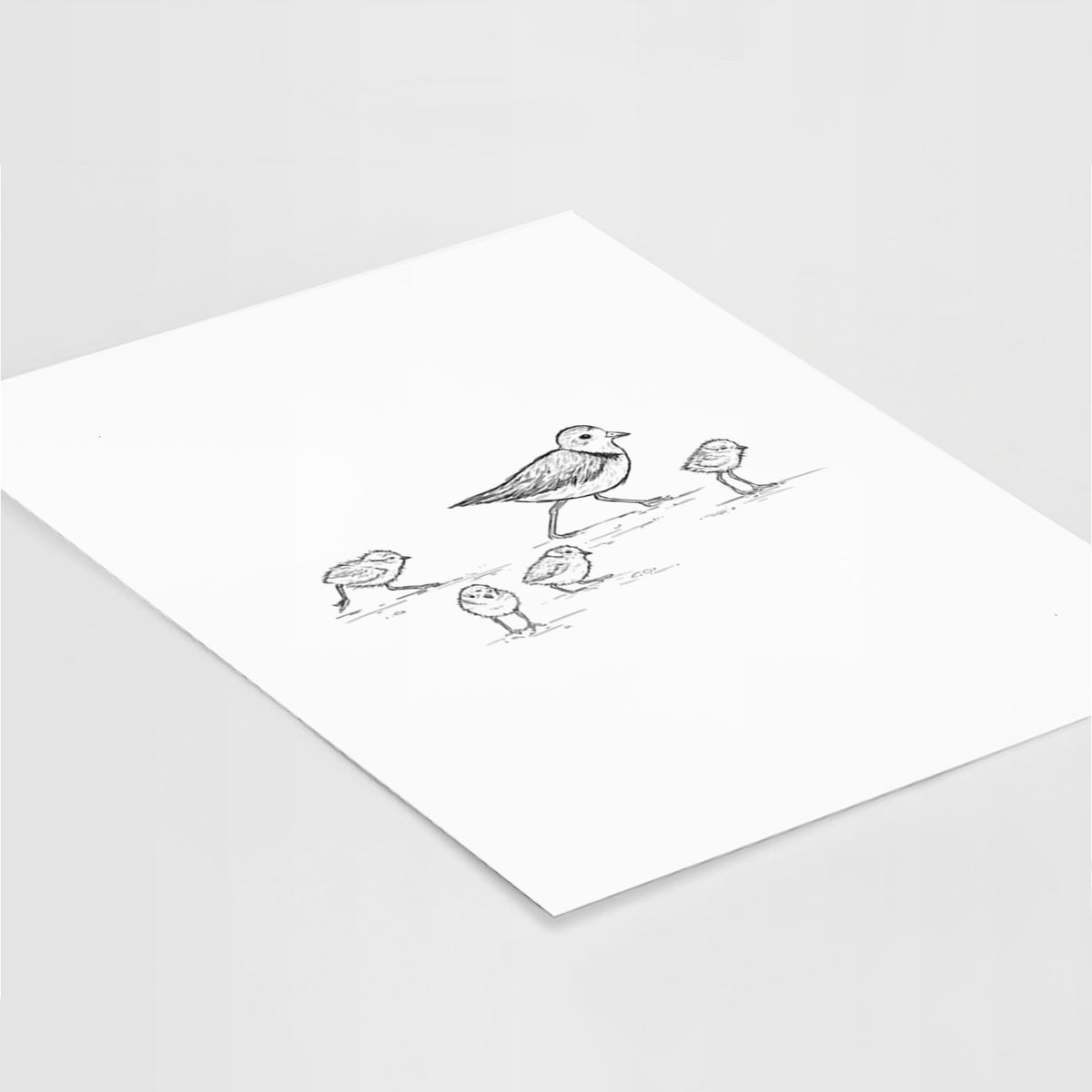 Art print of a black ink sketch of a piping plover with its chicks on the sand, lying at an angle on a white surface.