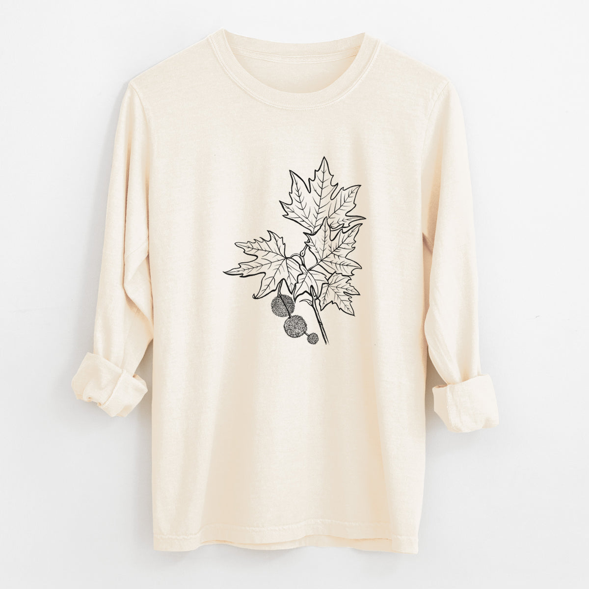 Ivory Comfort Colors long sleeve shirt laid flat with the cuffs rolled, printed with a black ink illustration of an oriental plane tree branch with lobed leaves and round seed balls.