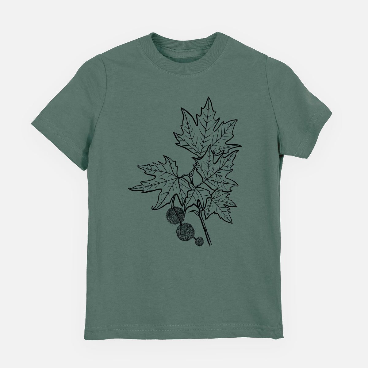 Basil green youth t-shirt laid flat, printed with a black ink illustration of an oriental plane tree branch with lobed leaves and round seed balls.