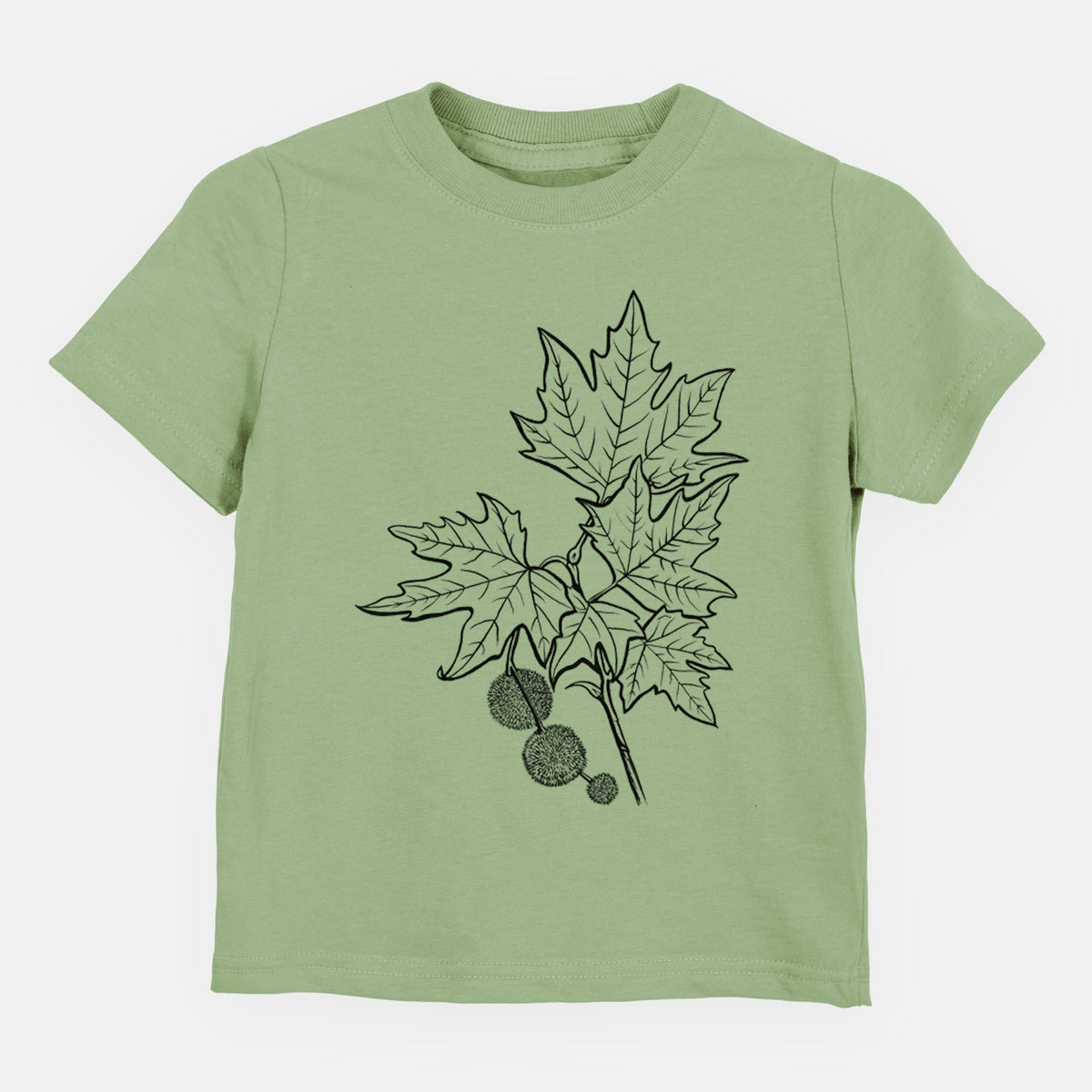 Sage green toddler t-shirt laid flat, printed with a black ink illustration of an oriental plane tree branch with lobed leaves and round seed balls.