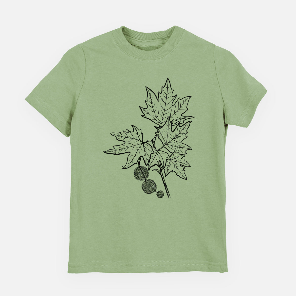 Sage green youth t-shirt laid flat, printed with a black ink illustration of an oriental plane tree branch with lobed leaves and round seed balls.