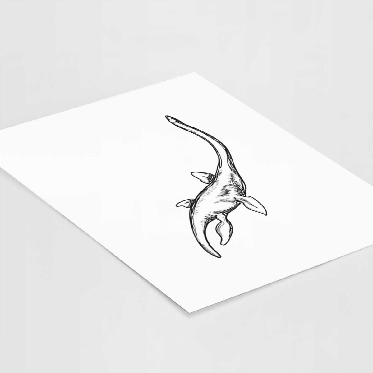 Art print of a black ink illustration of a long-necked plesiosaur swimming, lying at an angle on a white surface.