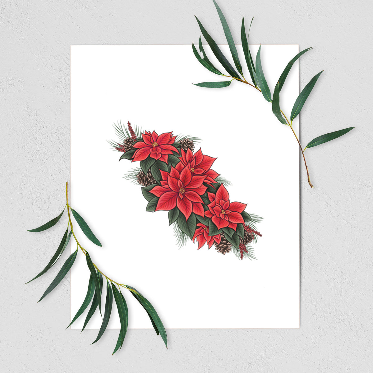 Art print of a full-color illustration of red poinsettia flowers with pine greenery and pine cones, shown with eucalyptus leaves.