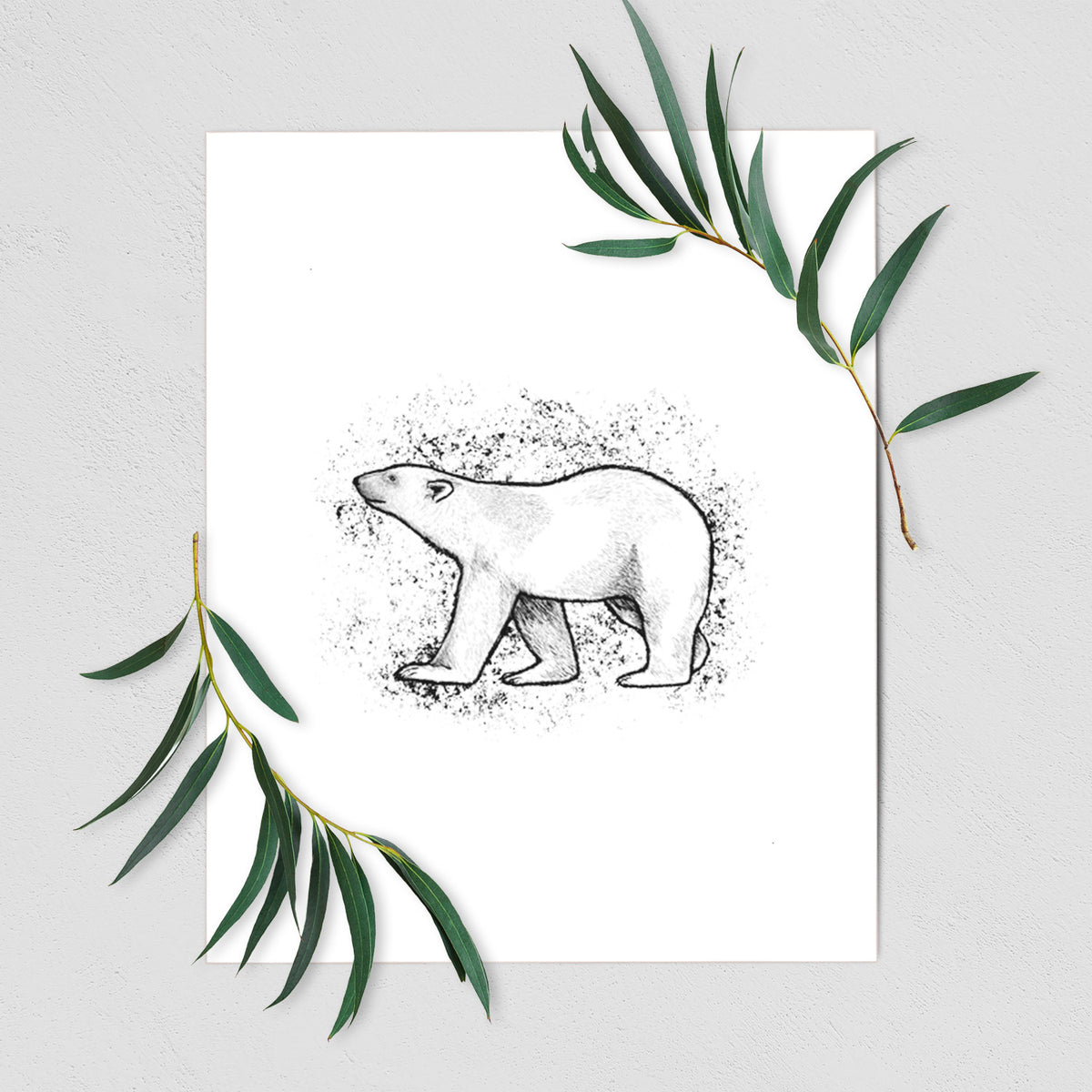 Art print of a black ink illustration of a polar bear walking across snow, shown with eucalyptus leaves.