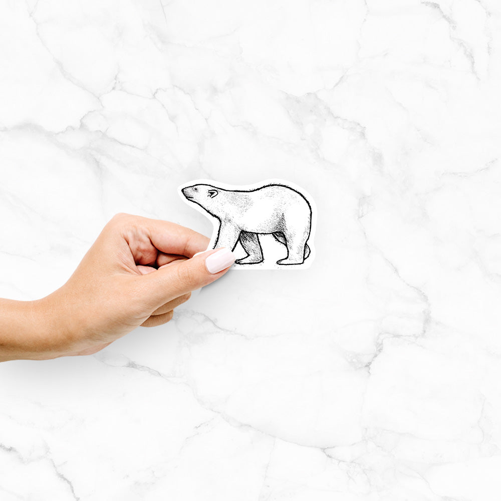 Hand holding a 4 inch vinyl decal of a black ink illustration of a polar bear walking across snow.