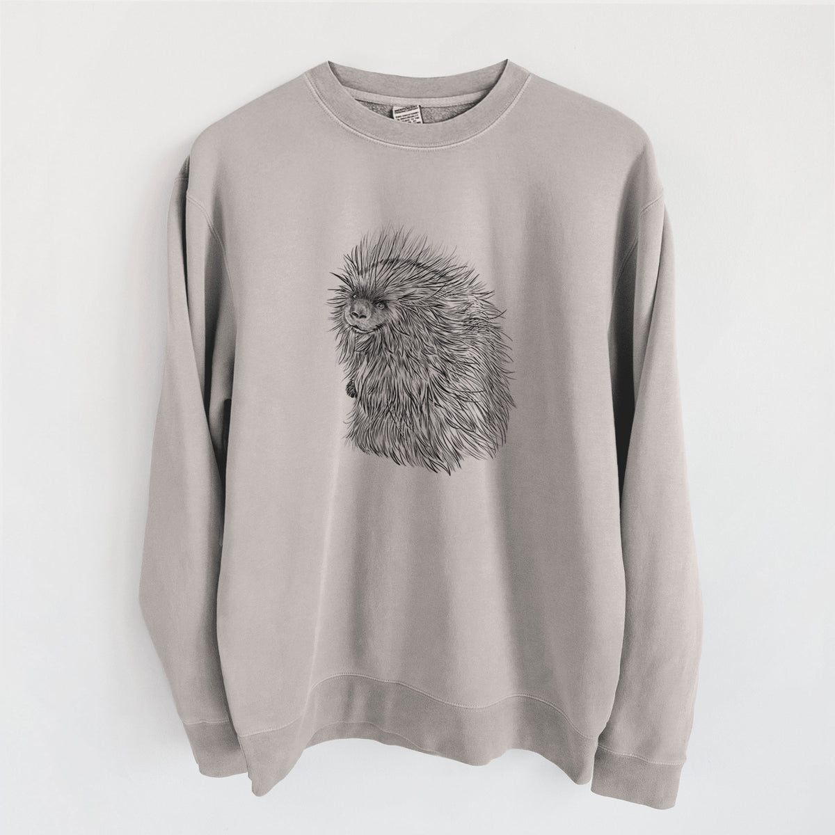 North American Porcupine - Erethizon dorsatum - Unisex Pigment Dyed Crew Sweatshirt in Cement