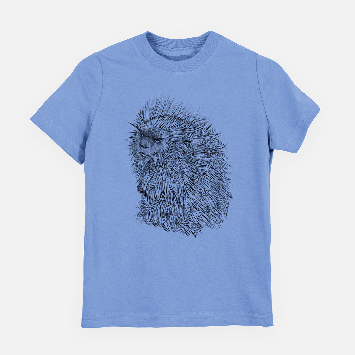 Carolina blue youth t-shirt laid flat, printed with a detailed black ink illustration of a porcupine with its quills raised.
