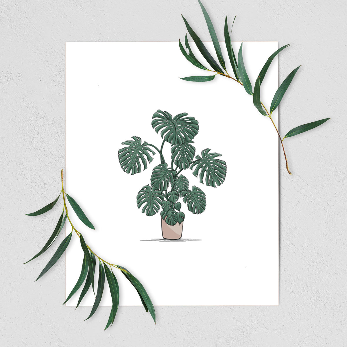 Art print of a full-color illustration of a large potted Monstera plant, shown with eucalyptus leaves.
