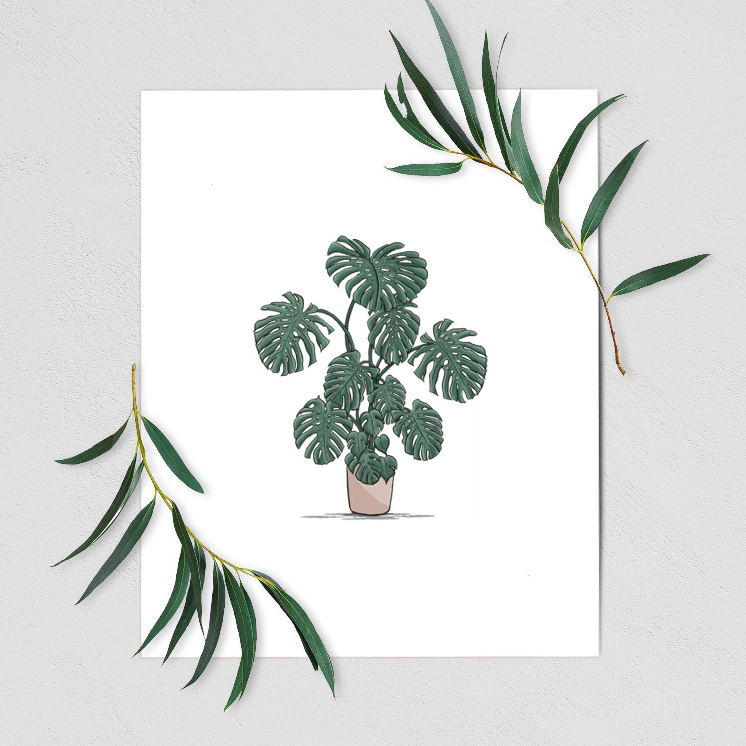 Art print of a full-color illustration of a large potted Monstera plant, shown with eucalyptus leaves.