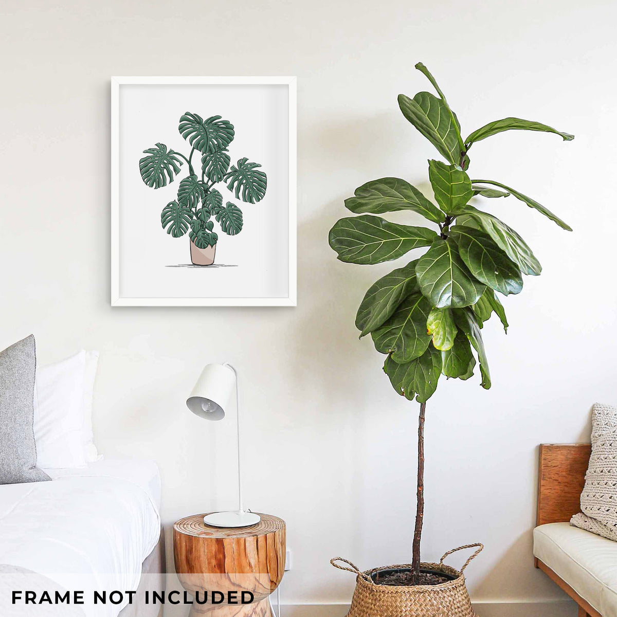 Art print of a full-color illustration of a large potted Monstera plant, shown framed on a living room wall beside a potted plant. Frame not included.
