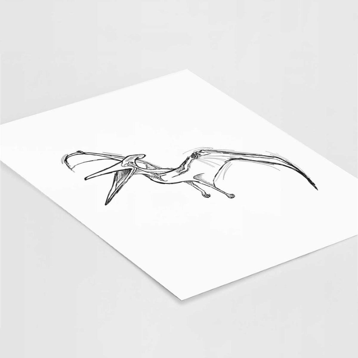 Art print of a black ink illustration of a Pteranodon in flight, lying at an angle on a white surface.