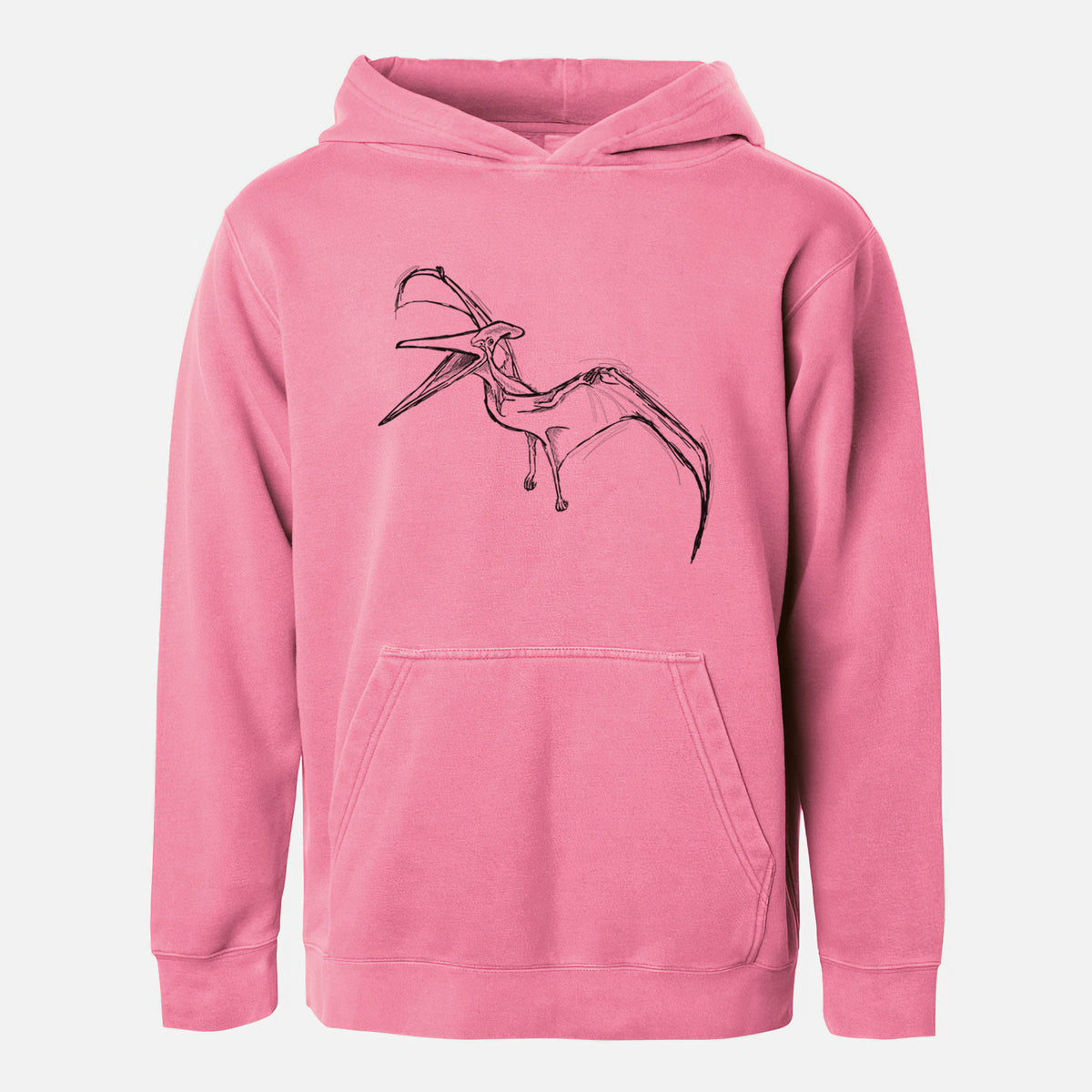Pigment pink youth pigment dyed hoodie laid flat, printed with a black ink illustration of a Pteranodon in flight.