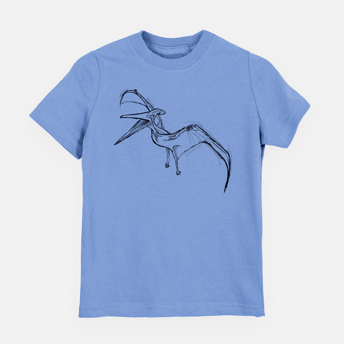 Carolina blue youth t-shirt laid flat, printed with a black ink illustration of a Pteranodon in flight.