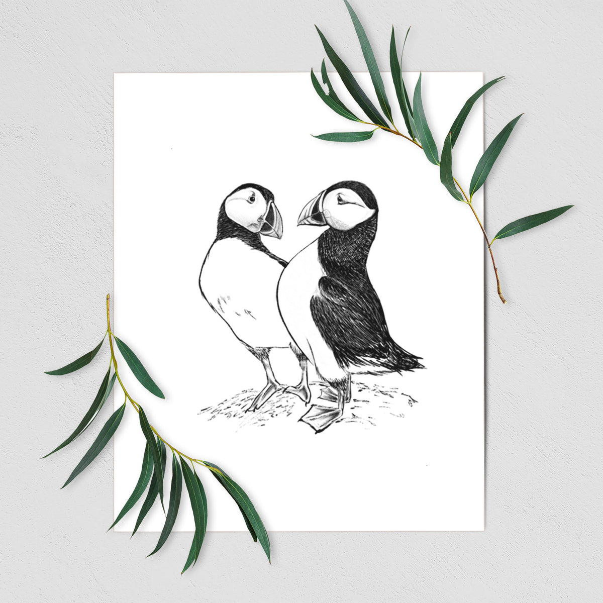 Art print of a detailed black ink illustration of two Atlantic puffins standing side by side, shown with eucalyptus leaves.