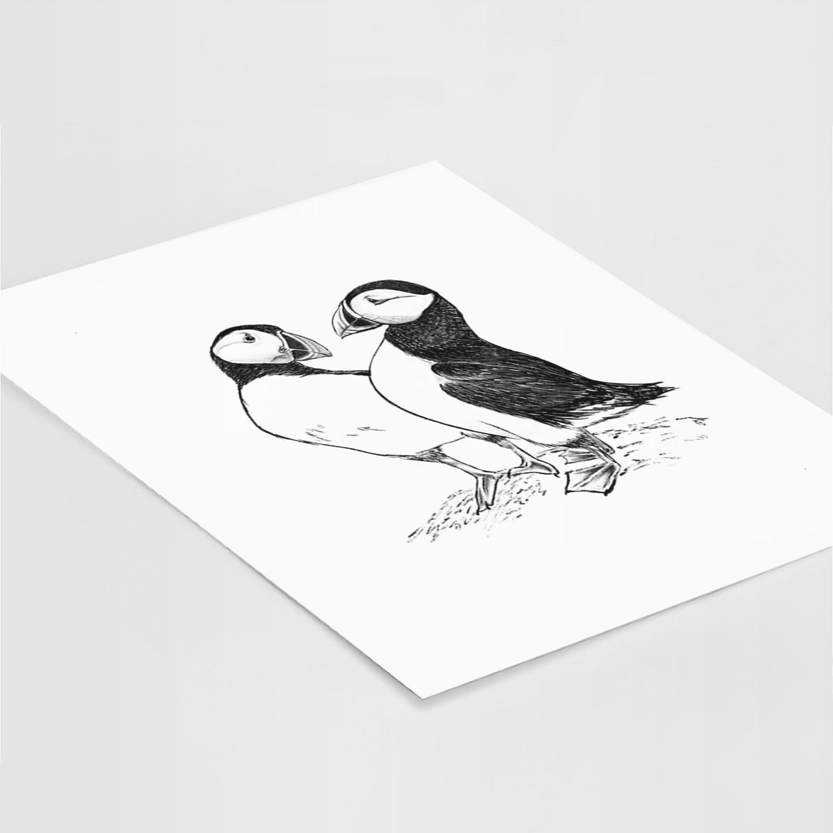 Art print of a detailed black ink illustration of two Atlantic puffins standing side by side, lying at an angle on a white surface.