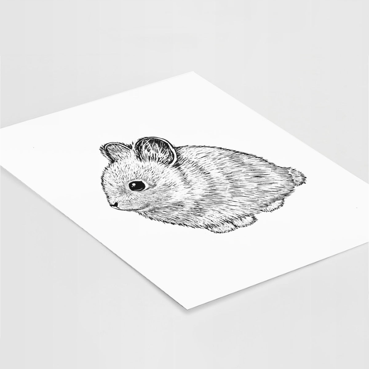 Art print of a detailed black ink illustration of a round, fluffy pygmy rabbit, lying at an angle on a white surface.