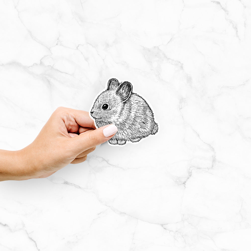 Hand holding a 4 inch vinyl decal of a detailed black ink illustration of a round, fluffy pygmy rabbit.