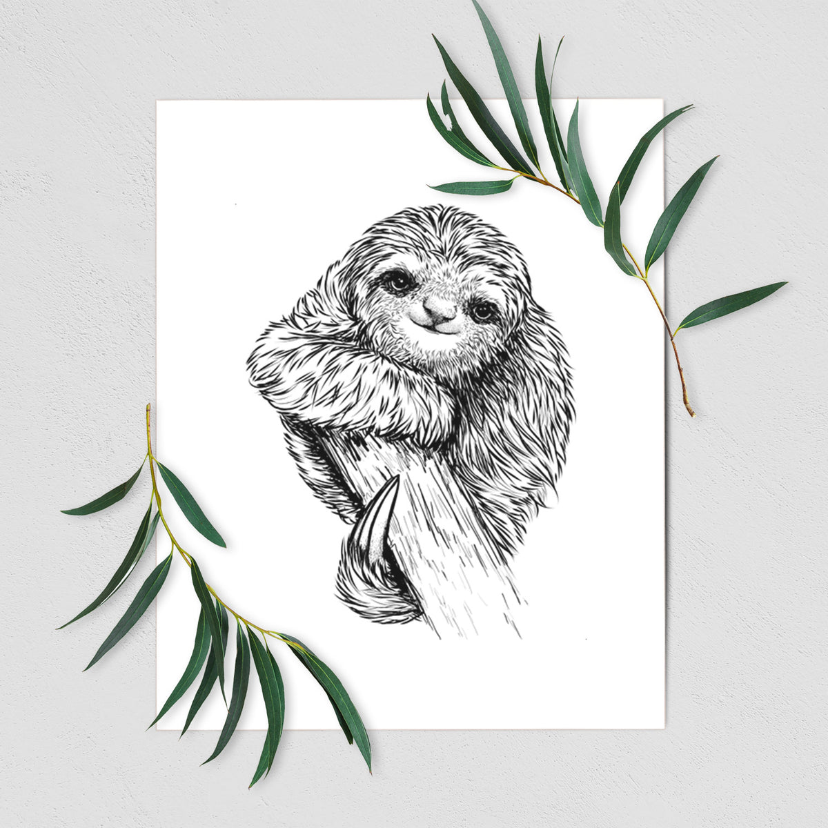 Art print of a detailed black ink illustration of a smiling pygmy three-toed sloth hanging from a branch, shown with eucalyptus leaves.