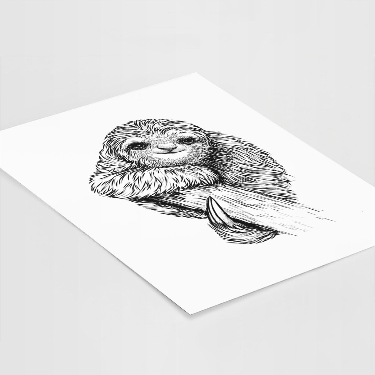 Art print of a detailed black ink illustration of a smiling pygmy three-toed sloth hanging from a branch, lying at an angle on a white surface.