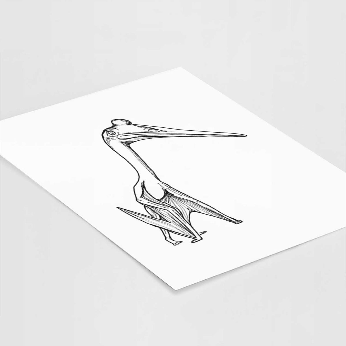 Art print of a black ink illustration of a Quetzalcoatlus pterosaur standing on all fours, lying at an angle on a white surface.