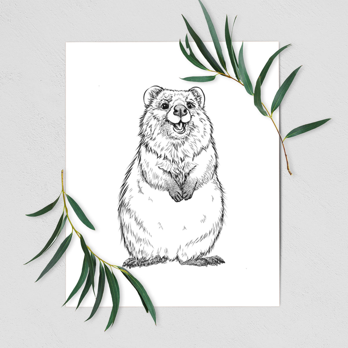 Art print of a black ink illustration of a smiling quokka sitting upright, shown with eucalyptus leaves.
