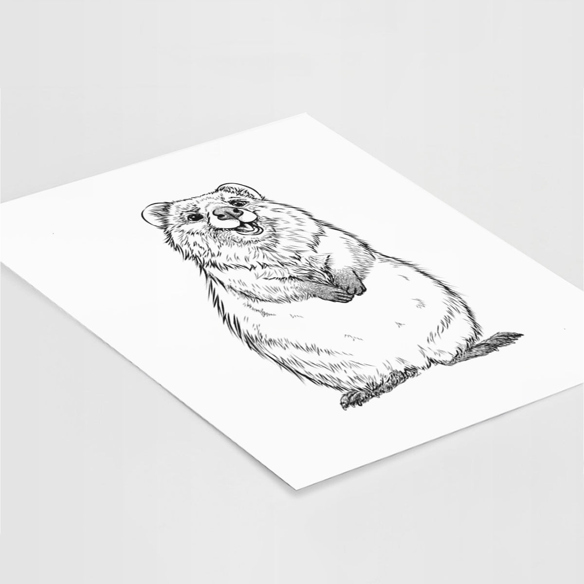 Art print of a black ink illustration of a smiling quokka sitting upright, lying at an angle on a white surface.