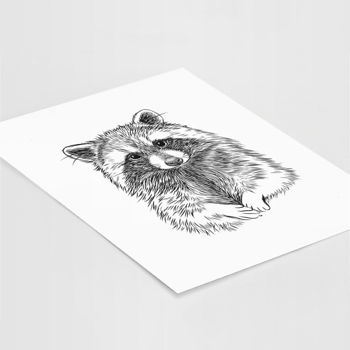 Art print of a detailed black ink portrait of a raccoon with its front paws resting in front of it, lying at an angle on a white surface.