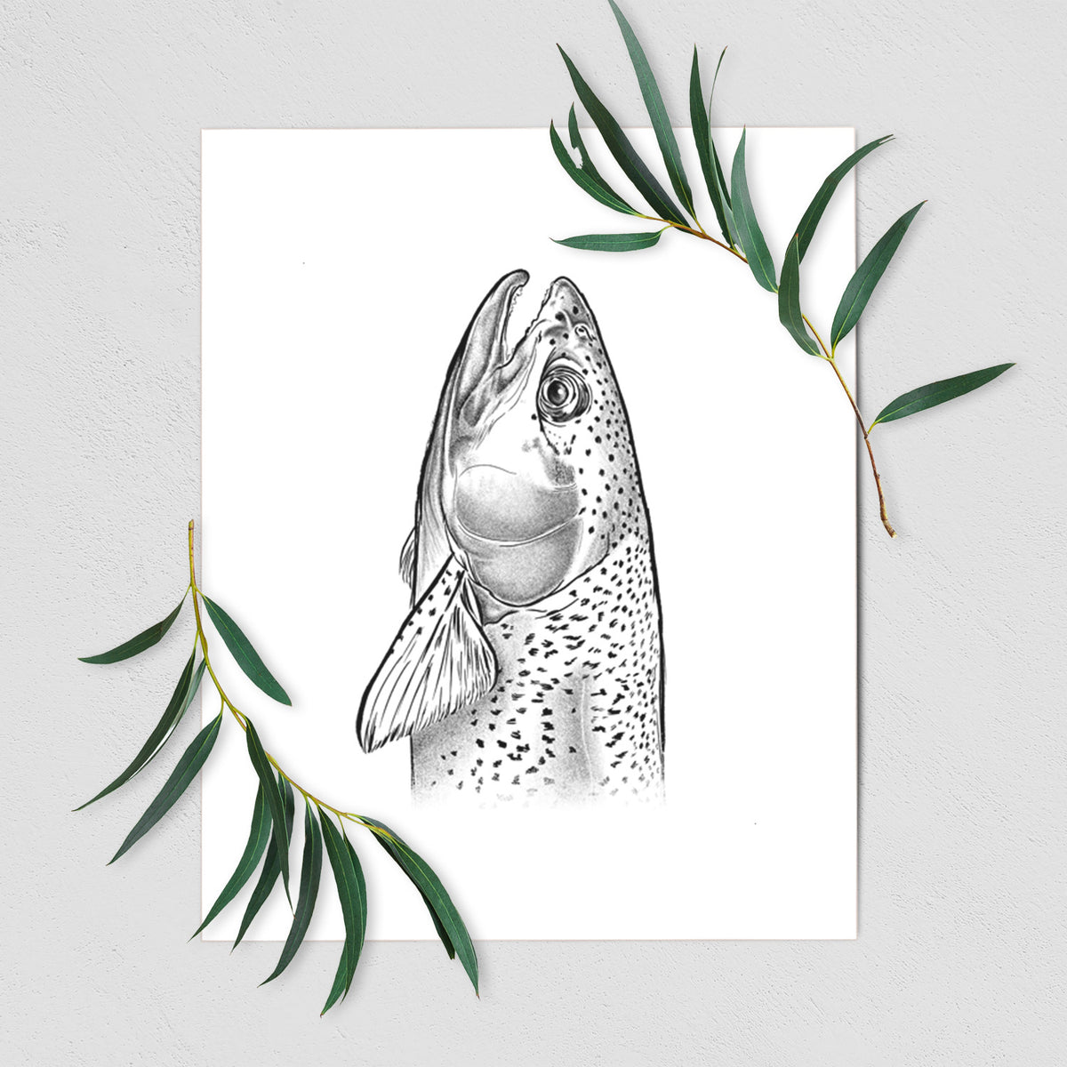 Art print of a detailed black ink illustration of a rainbow trout's head pointing upward, showing its spotted scales, shown with eucalyptus leaves.