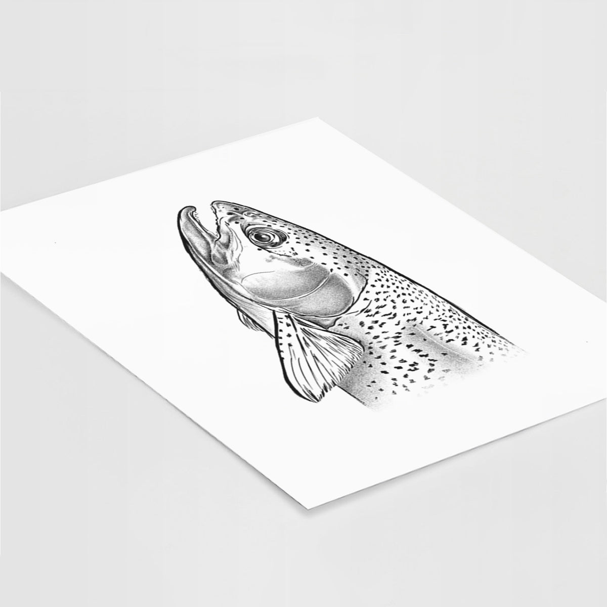 Art print of a detailed black ink illustration of a rainbow trout's head pointing upward, showing its spotted scales, lying at an angle on a white surface.