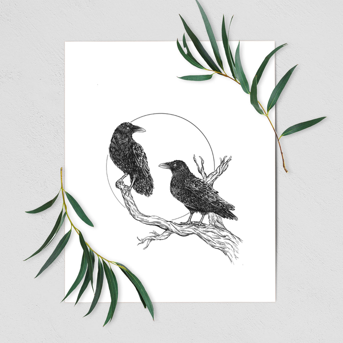 Art print of a black ink illustration of two ravens perched on a branch in front of a full moon, shown with eucalyptus leaves.