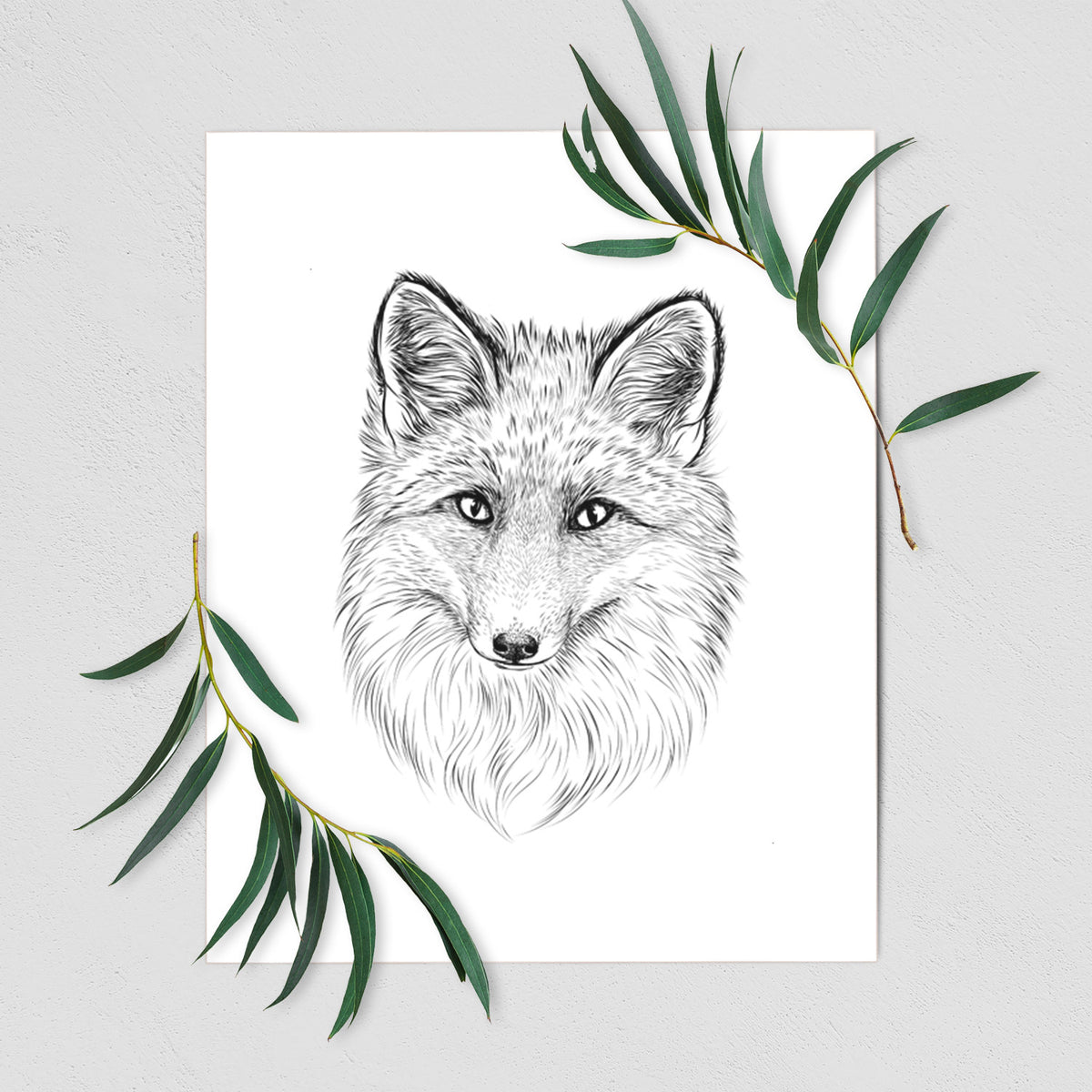Art print of a detailed black ink sketch of a red fox's face looking straight ahead, its fur drawn in fine pencil-like strokes, shown with eucalyptus leaves.