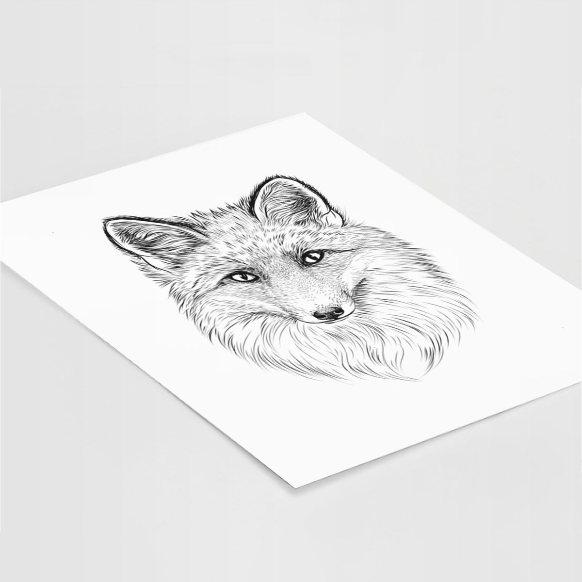Art print of a detailed black ink sketch of a red fox's face looking straight ahead, its fur drawn in fine pencil-like strokes, lying at an angle on a white surface.