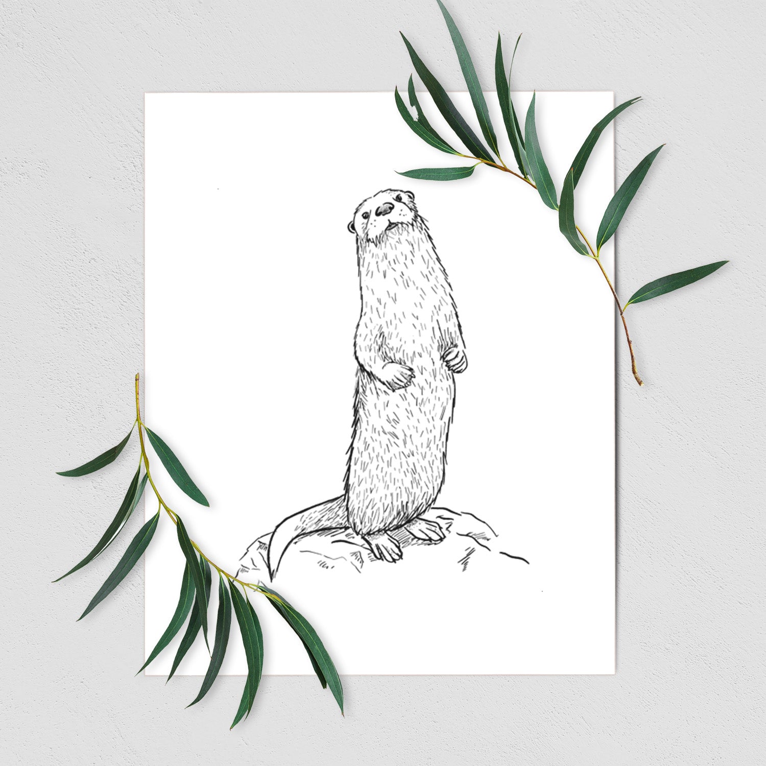 Art print of a black ink illustration of a river otter standing upright on a rock, shown with eucalyptus leaves.