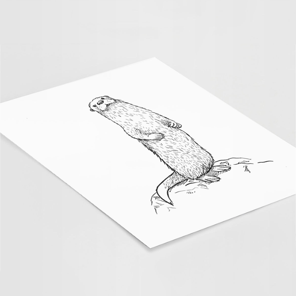 Art print of a black ink illustration of a river otter standing upright on a rock, lying at an angle on a white surface.