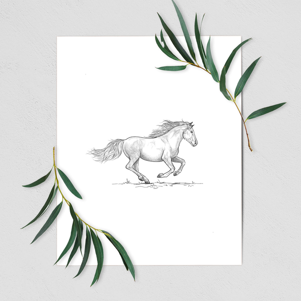 Art print of a black ink illustration of a mustang horse running, shown with eucalyptus leaves.