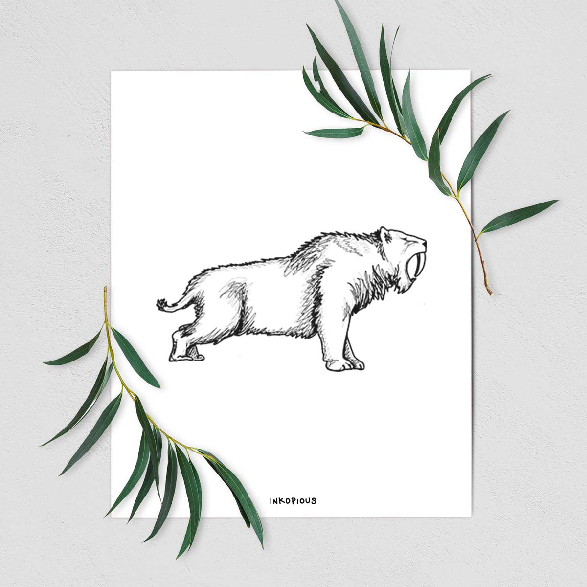 Art print of a black ink illustration of a saber-toothed tiger walking, shown with eucalyptus leaves.