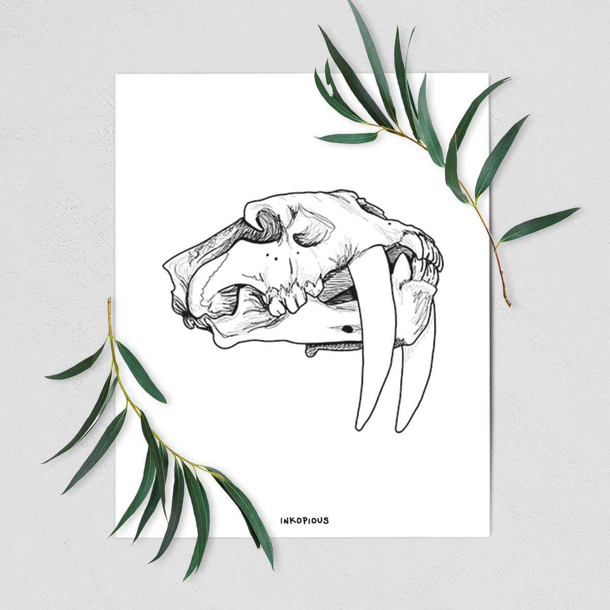 Art print of a detailed black ink illustration of a saber-toothed tiger skull, shown with eucalyptus leaves.