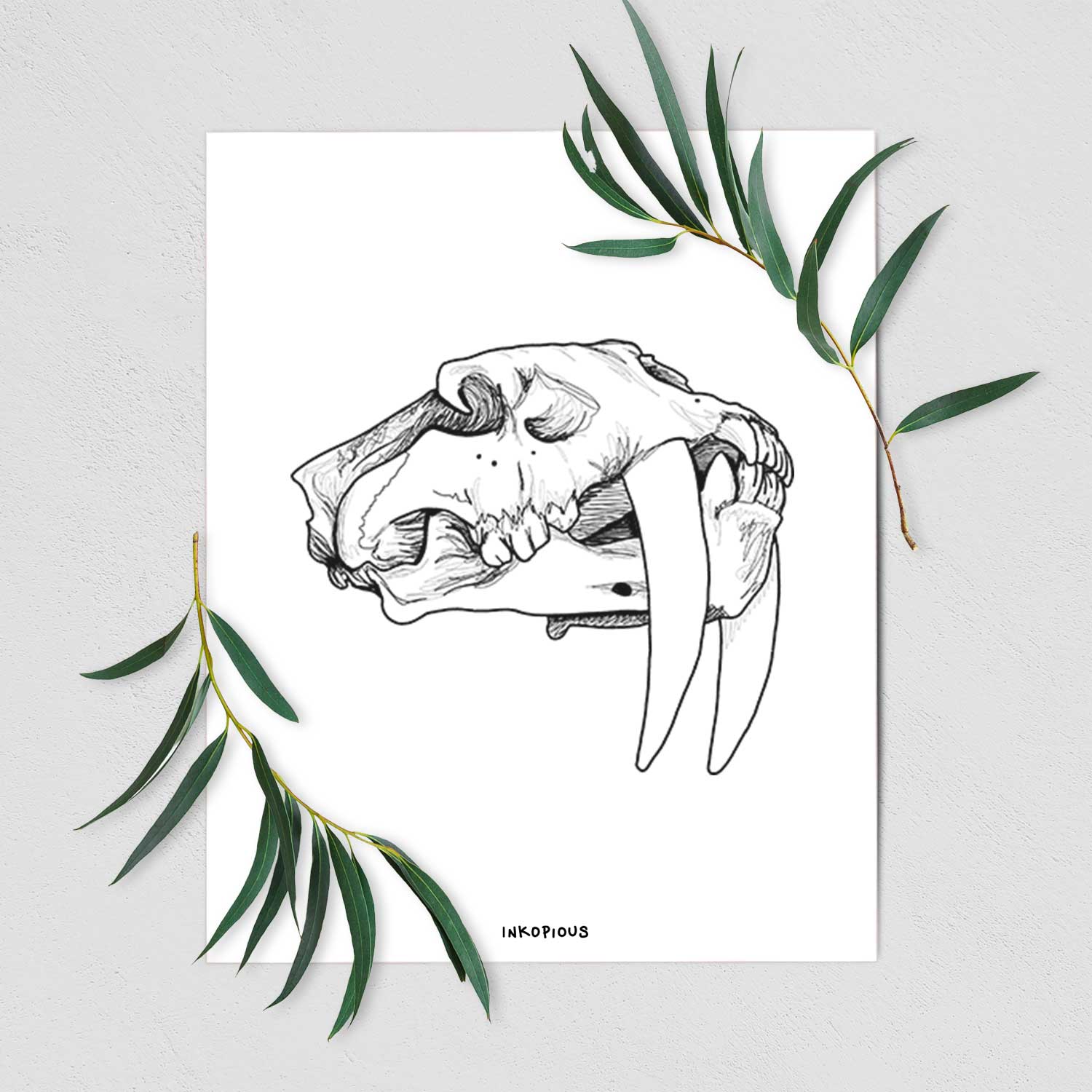 Art print of a detailed black ink illustration of a saber-toothed tiger skull, shown with eucalyptus leaves.