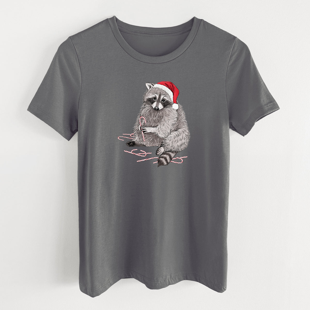 Santa Raccoon - Women's Lightweight Relaxed Fit 100% Cotton Crewneck in Asphalt, on a hanger