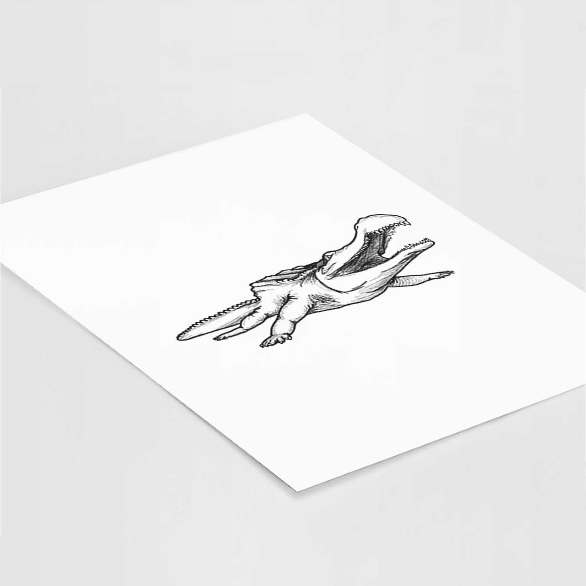 Art print of a black ink illustration of a Sarcosuchus, a giant prehistoric crocodile, lying at an angle on a white surface.