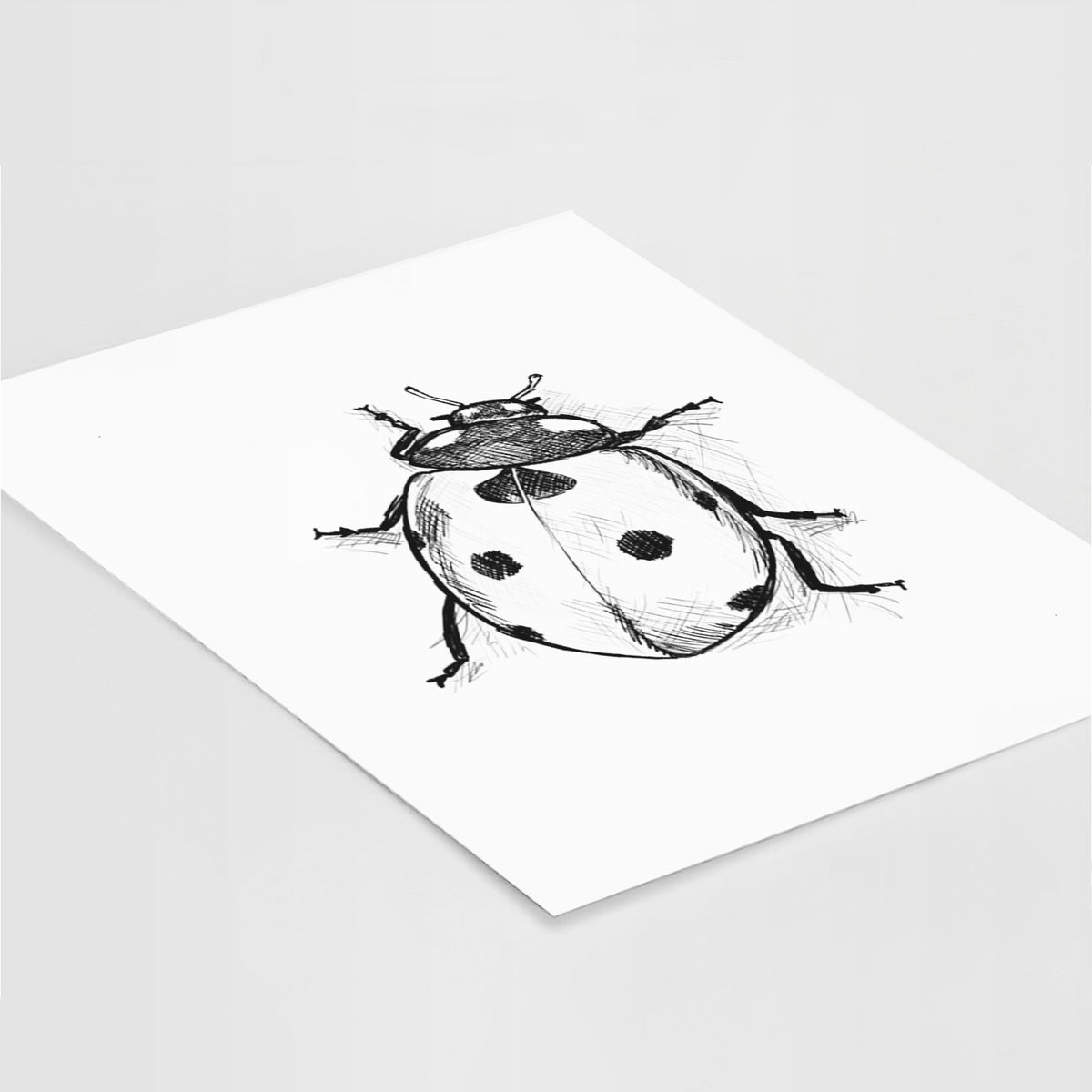 Art print of a detailed black ink illustration of a seven-spot ladybird beetle, lying at an angle on a white surface.