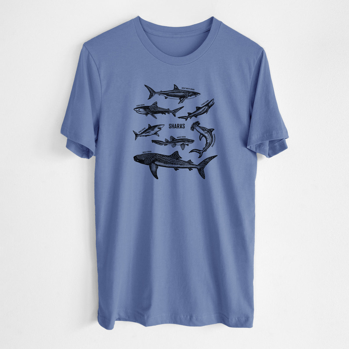 Blue bell lightweight cotton t-shirt laid flat, printed with a chart of black ink shark illustrations, including a whale shark, hammerhead and great white.