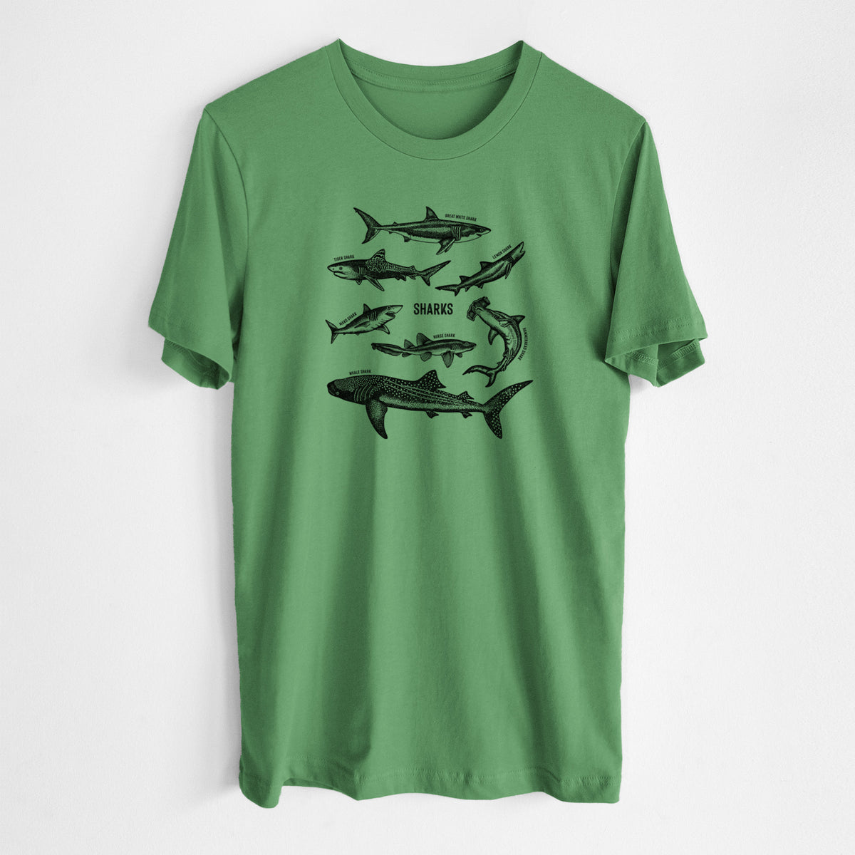 Leaf green lightweight cotton t-shirt laid flat, printed with a chart of black ink shark illustrations, including a whale shark, hammerhead and great white.