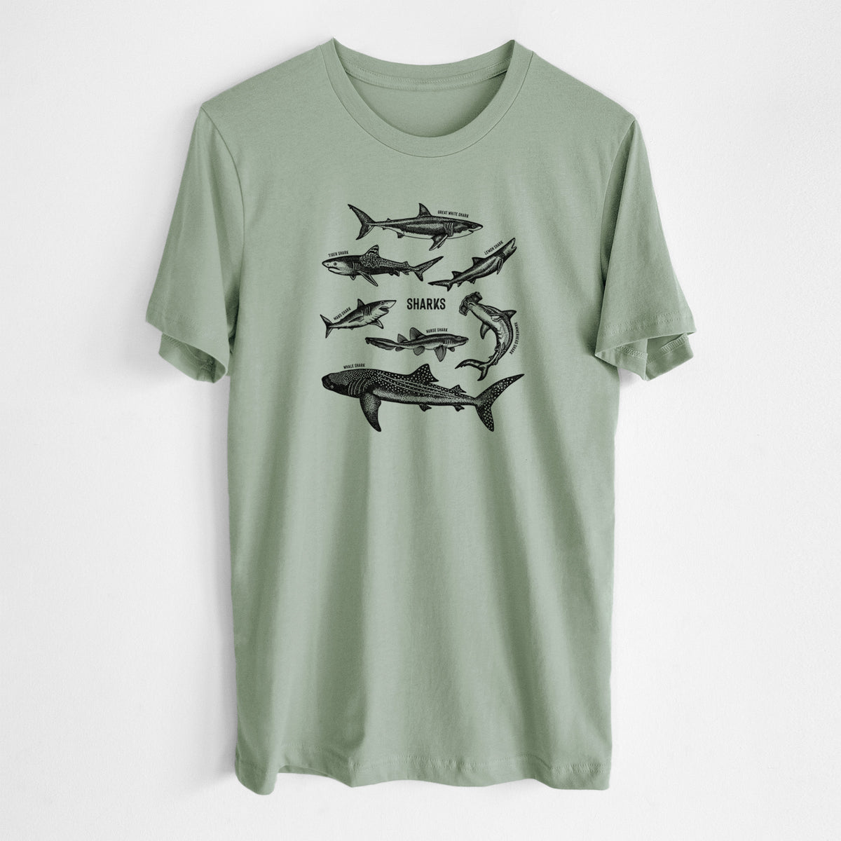 Sage green lightweight cotton t-shirt laid flat, printed with a chart of black ink shark illustrations, including a whale shark, hammerhead and great white.
