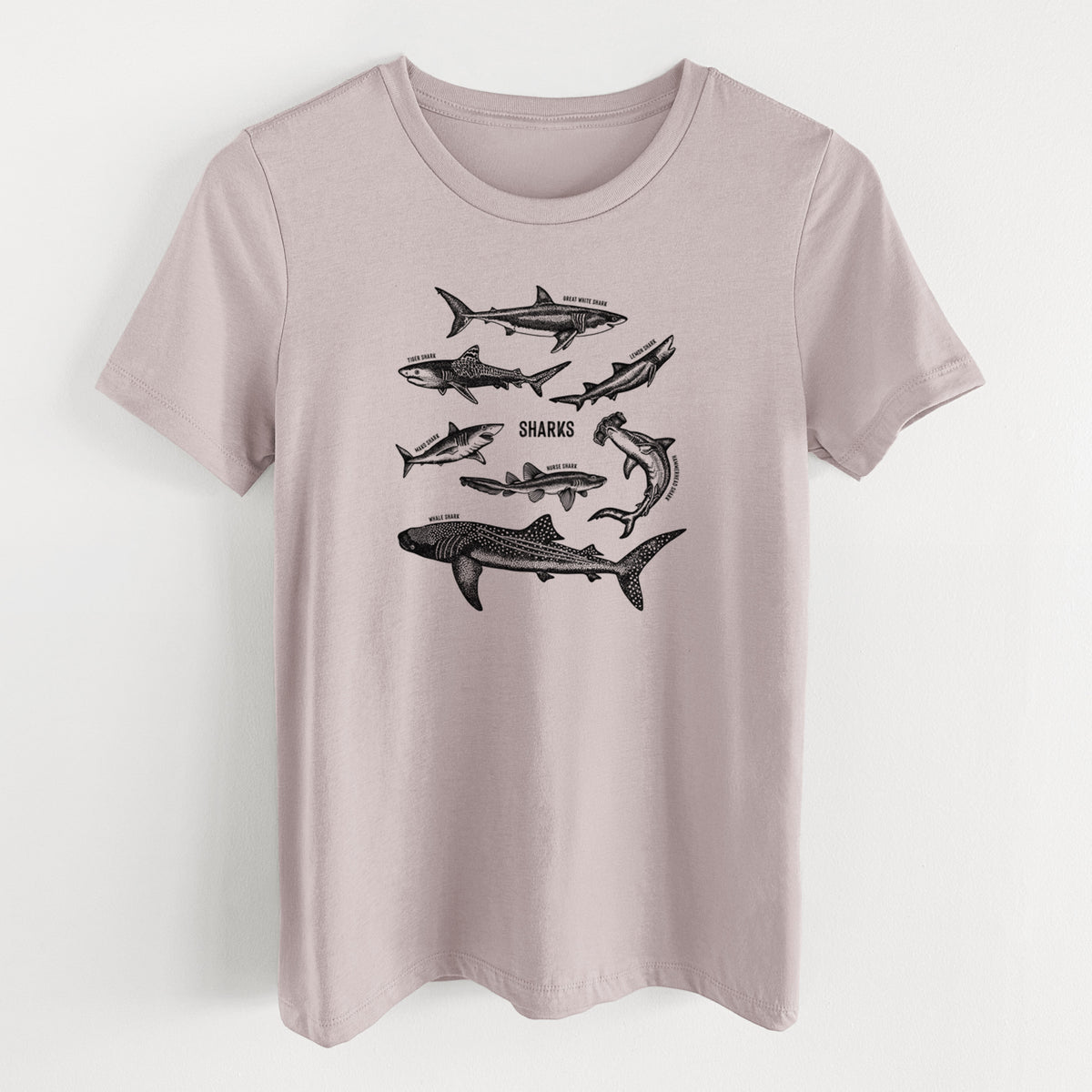 Pink gravel women's relaxed fit cotton t-shirt laid flat, printed with a chart of black ink shark illustrations, including a whale shark, hammerhead and great white.